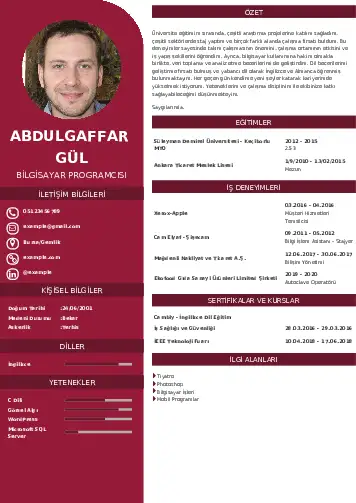 Bilgisayar Programcısı CV Örnekleri cv indir